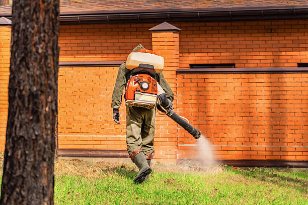 Bed Bug Clearance Verification and Documentation in Marysville